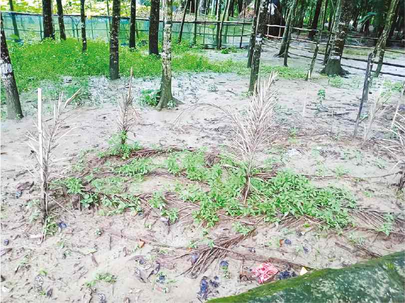 Image of মো: আমিরুল ইসলাম